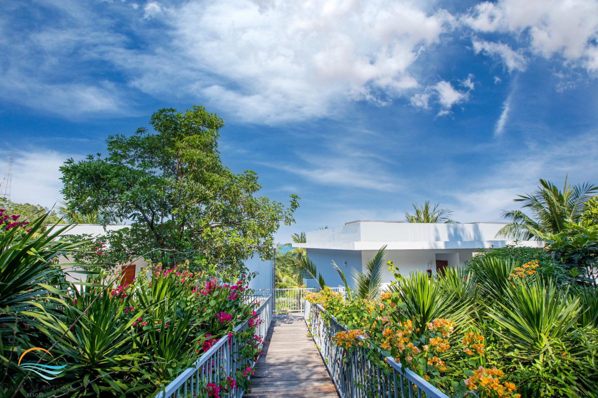 Công Ty Cổ Phần Du Lịch Casa Marina Resort